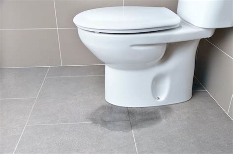 Toilet Leaking at the Base, How to Tell, Causes & Fixes